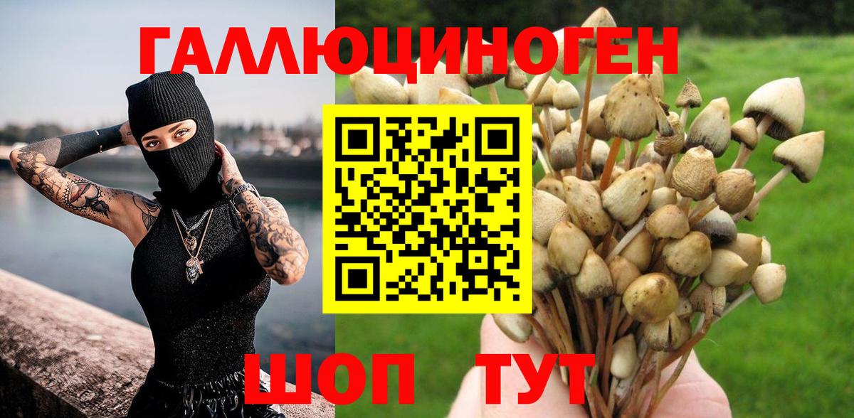 Псилоцибиновые грибы MAGIC MUSHROOMS Долгопрудный